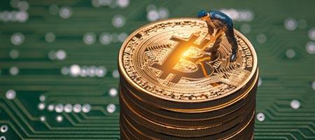 Как заработать на спортивных интернет ставках?