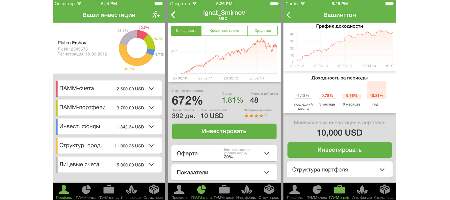 alpari invest)