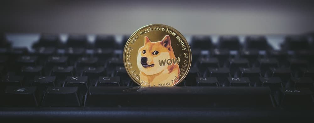 Shiba Inu coin SHIB