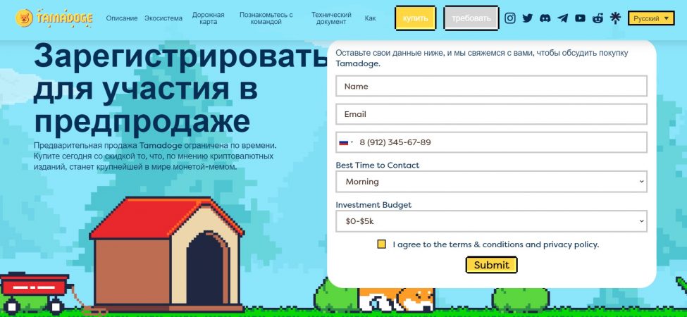 участие в предпродаже TamaDoge