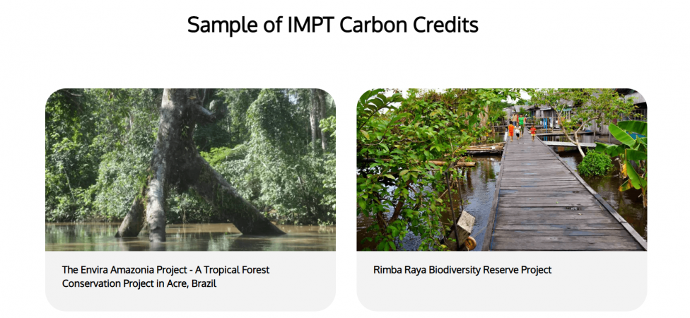 Sample of IMPT Carbon Credits
